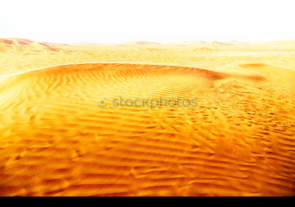 Similar – Erg Chebbi Desert Nature