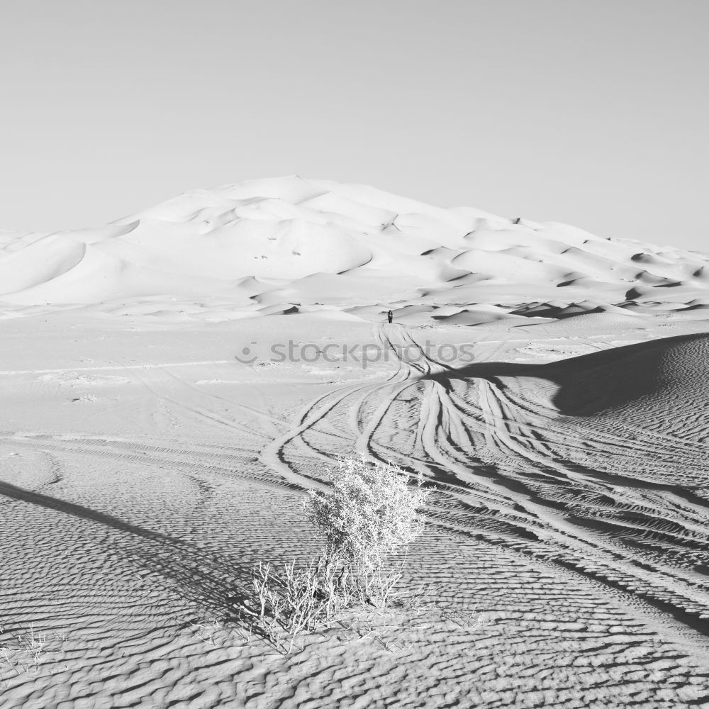 Similar – Bolivia III Snow cornice