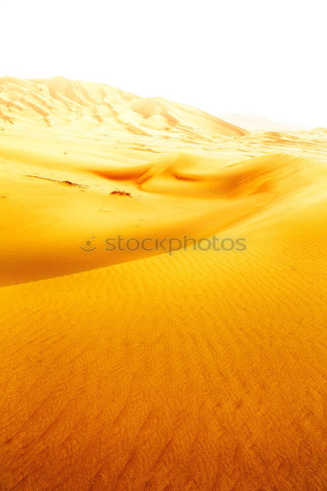 Similar – Image, Stock Photo in oman old desert rub al khali the empty