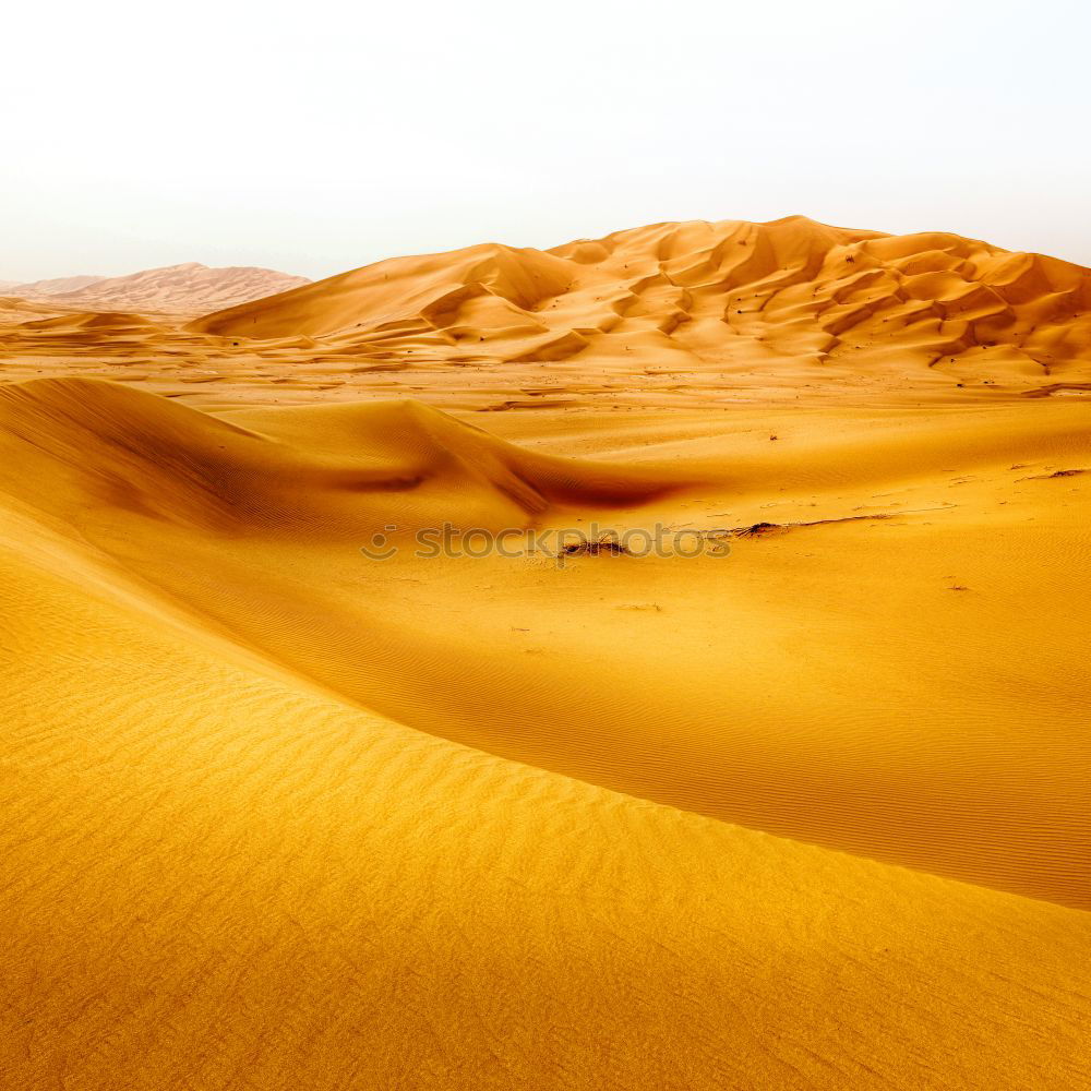 Dunes on desert sand Sand