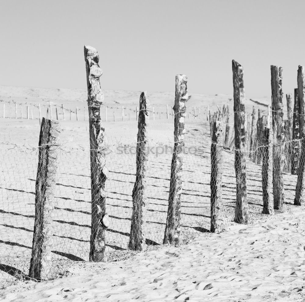 Similar – Image, Stock Photo Winter landscape | beginning and end.