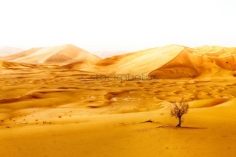 Image, Stock Photo desert landscape