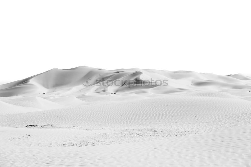 Similar – dune in oman old desert rub al khali