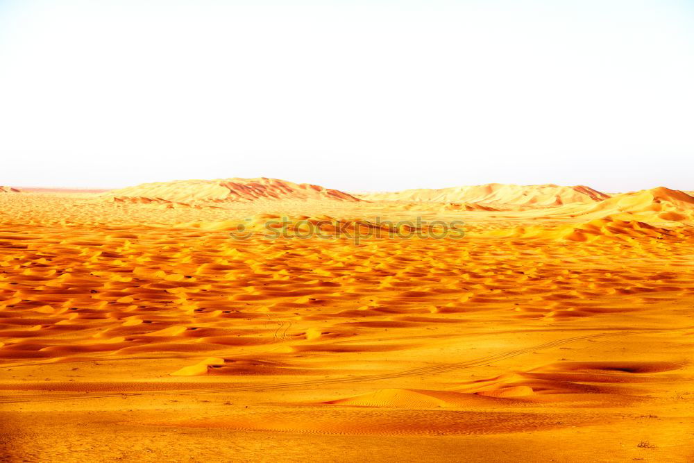Similar – Image, Stock Photo in oman old desert rub al khali the empty q