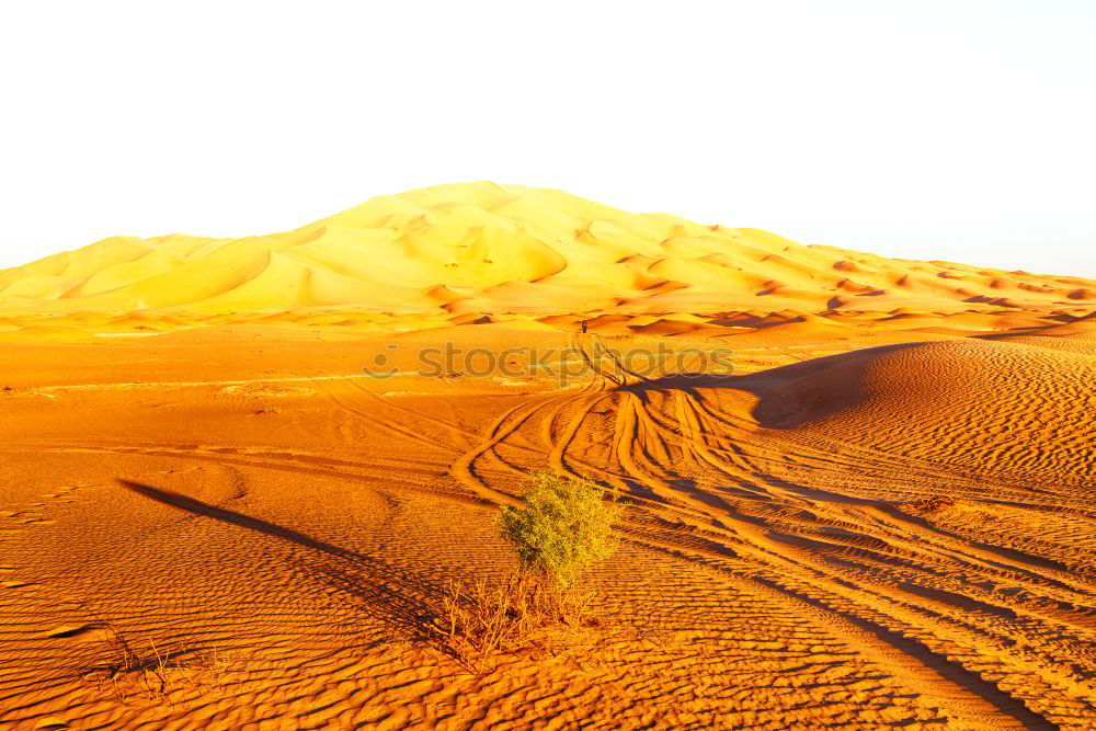 Similar – Image, Stock Photo desert landscape