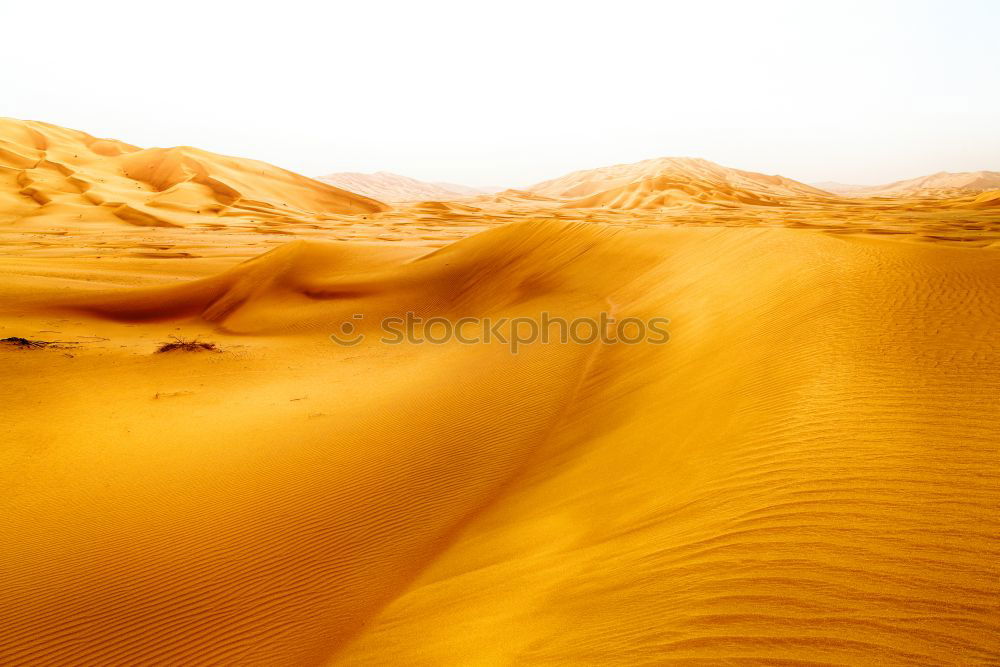 Similar – Dunes on desert sand Sand