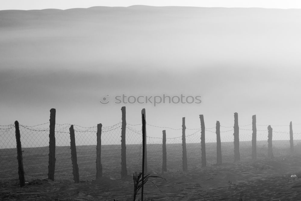 Similar – Image, Stock Photo Hop poles 2 Beer