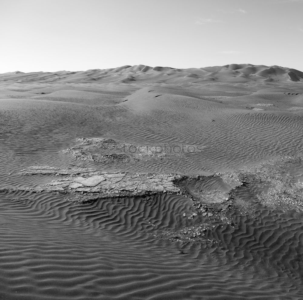 Similar – Aerial photo: Muschelberge