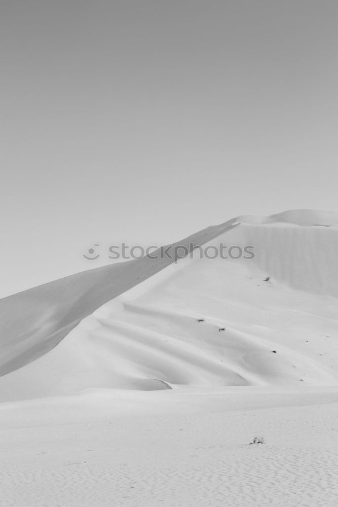 Similar – Image, Stock Photo much blue, much white and a little bit of dog