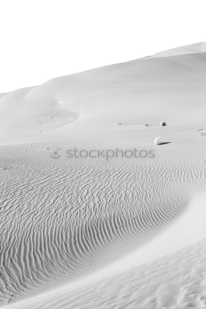 Similar – Desert (2/10) Sand Dune