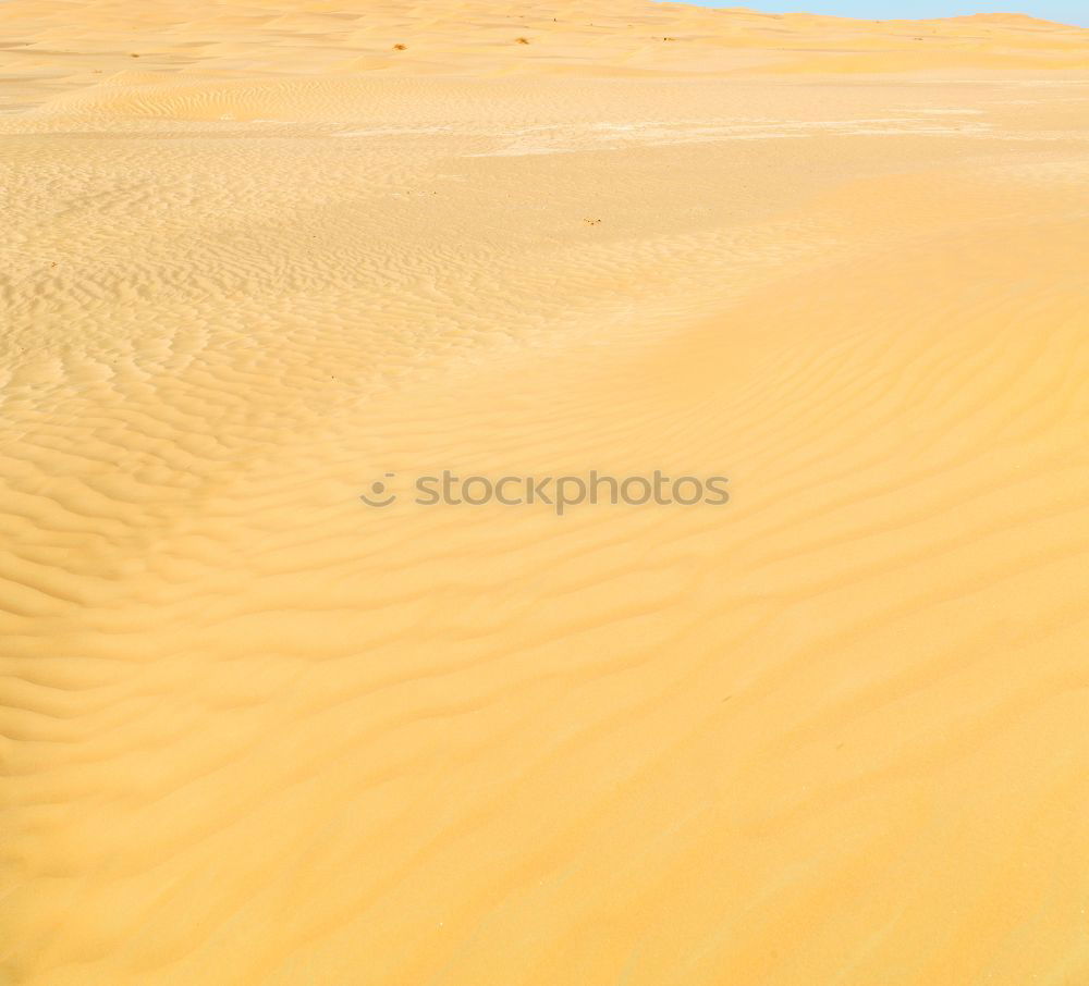 Image, Stock Photo sand dune in oman old desert rub al khali