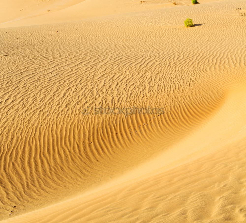 Similar – Image, Stock Photo sand dune in oman old desert rub al khali