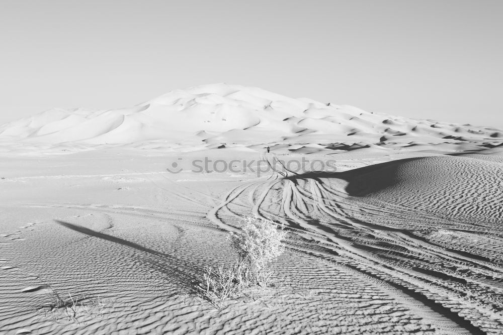 Image, Stock Photo Bolivia III Snow cornice