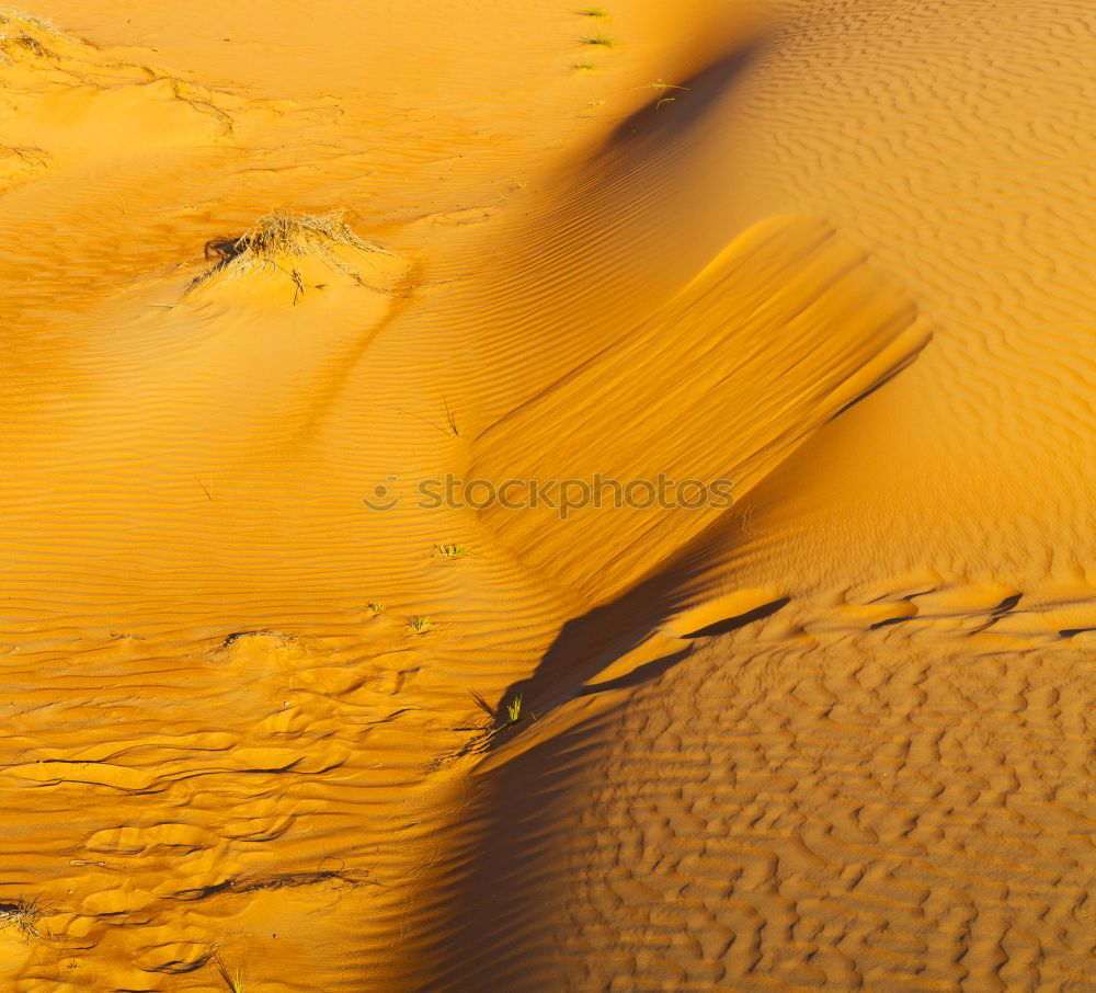 Similar – Image, Stock Photo sand dune in oman old desert rub al khali