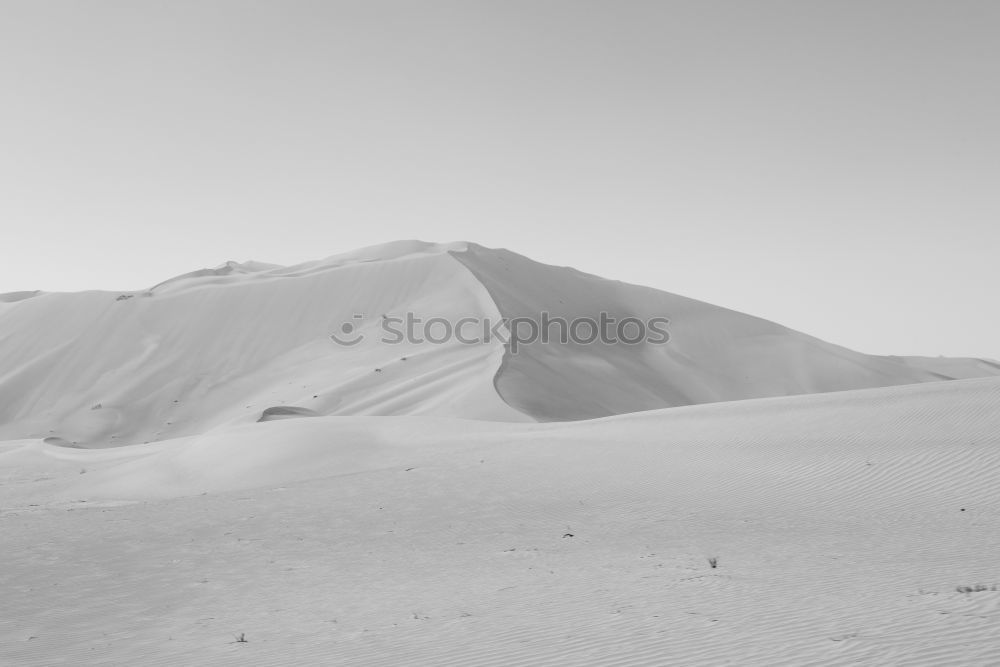 Similar – Foto Bild der letzte mohikaner