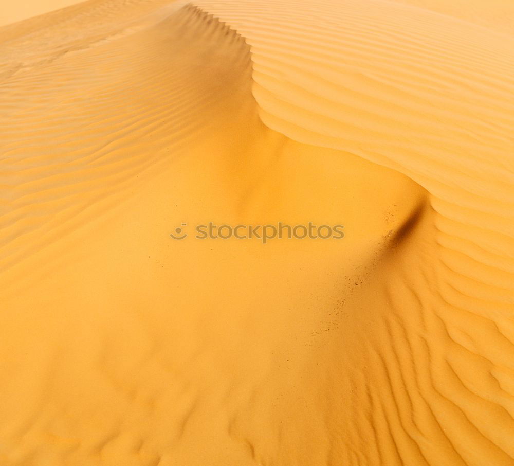 Similar – Image, Stock Photo sand dune in oman old desert rub al khali