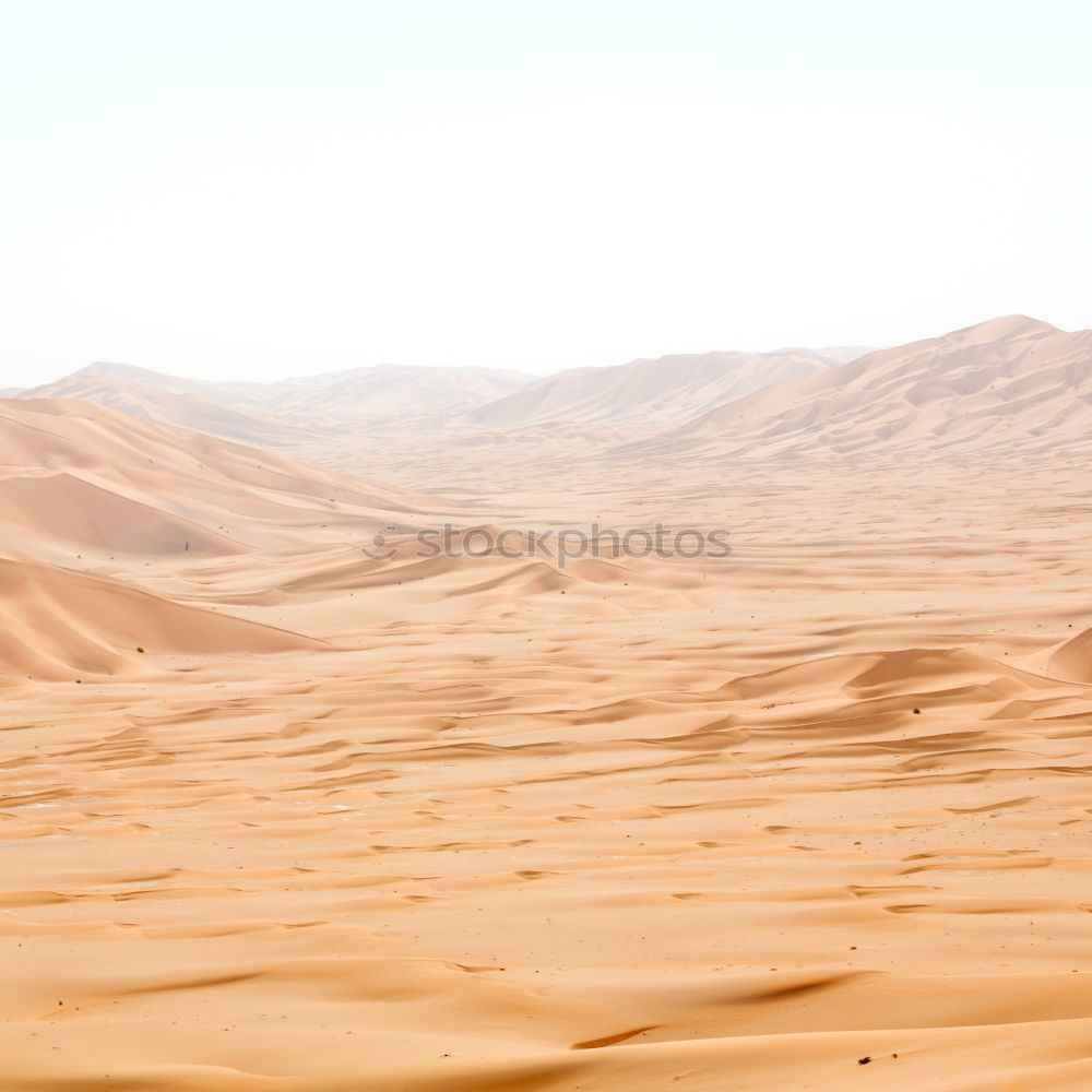 sand dune in oman old desert rub al khali