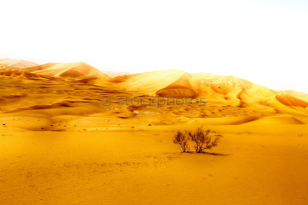 Similar – Image, Stock Photo desert landscape