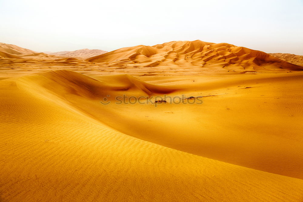 Similar – Sand dune in sahara desert, Africa.