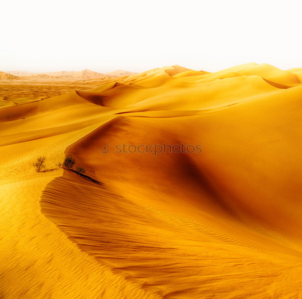 Similar – Image, Stock Photo sand dune in oman old desert rub al khali