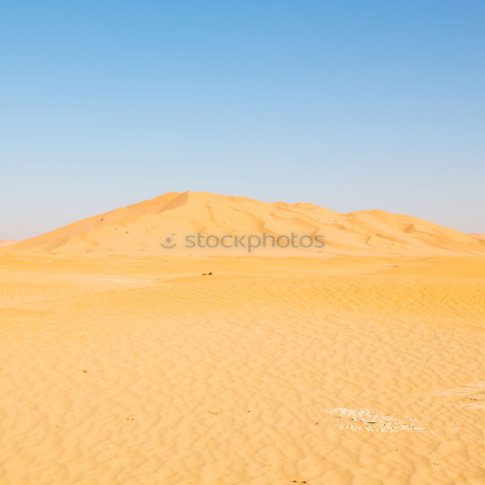 Similar – sand dune in oman old desert rub al khali