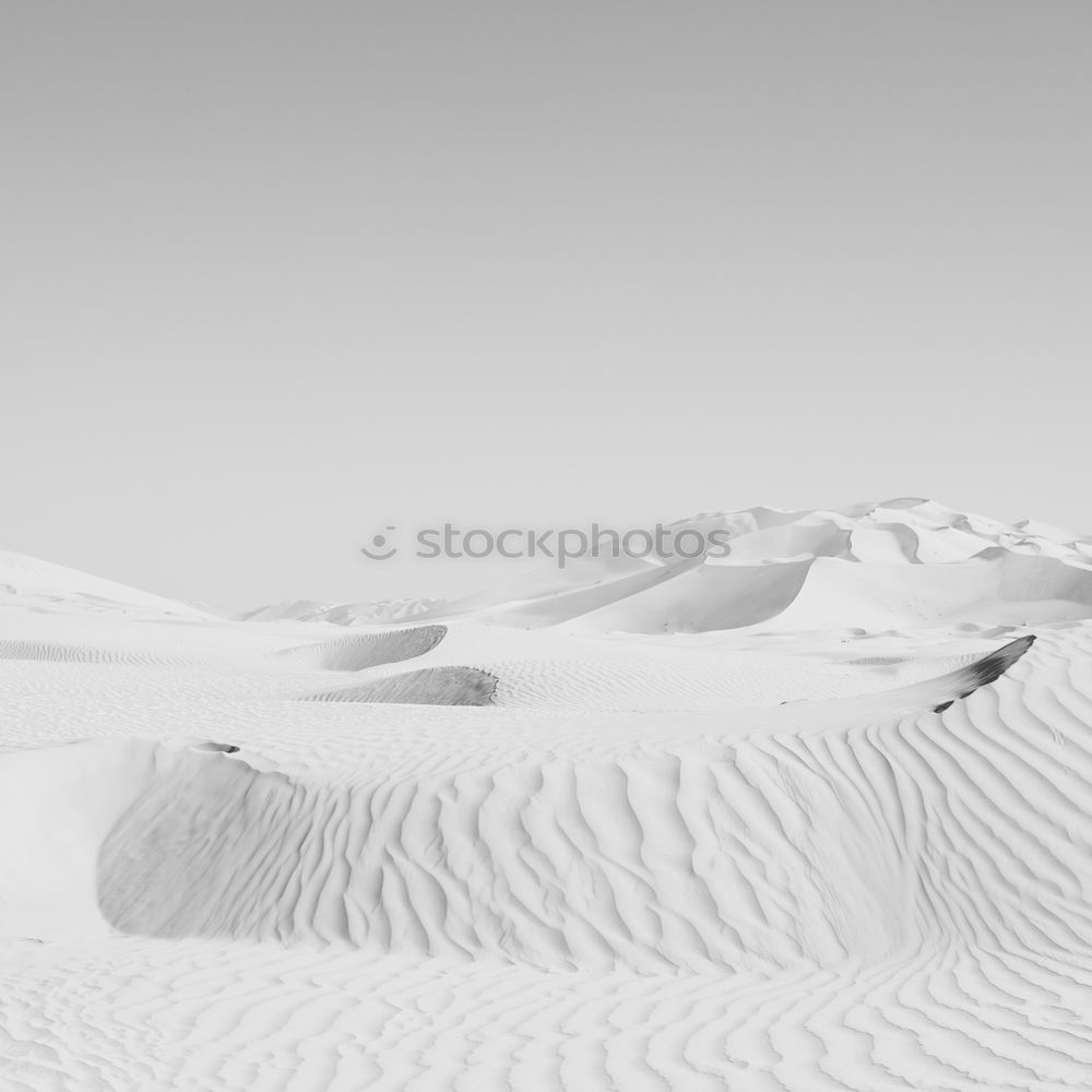 Similar – White Sands weiß Gipssand