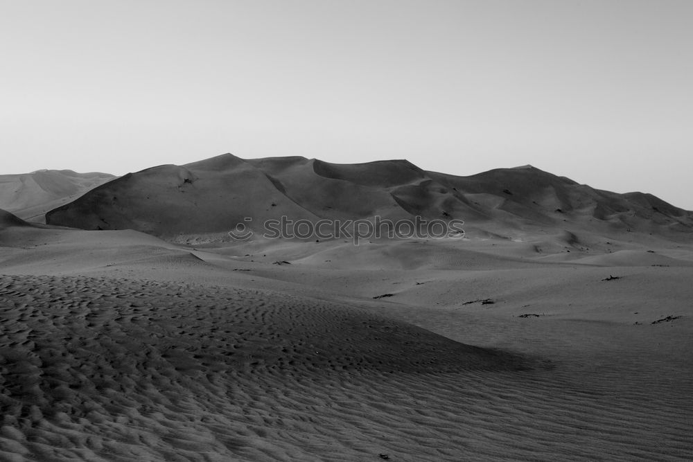 Similar – Image, Stock Photo Sand dunes Desert of Abu Dhabi United Arab Emirates