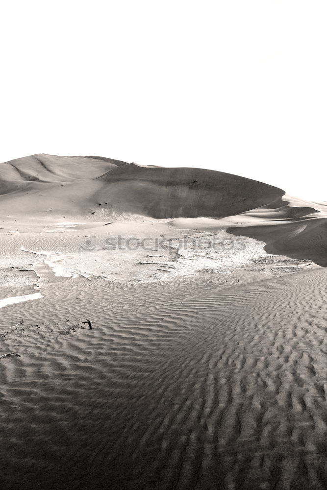 Image, Stock Photo Dry grass on hill Nature