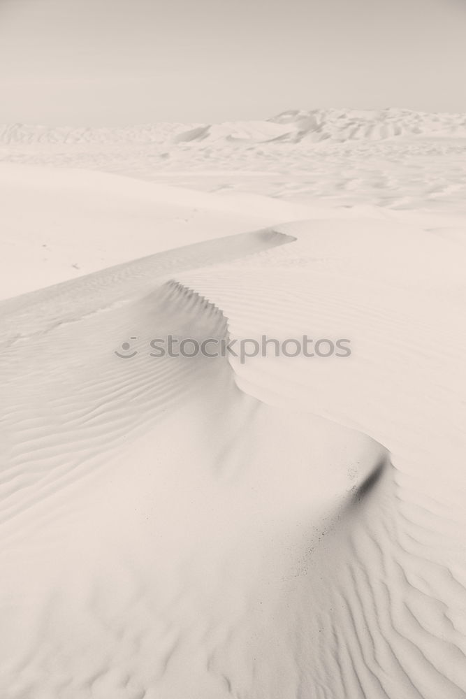 Similar – Image, Stock Photo #A# Desert Art Esthetic