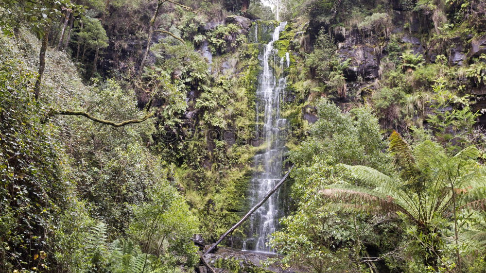 Similar – Wallaman Falls Australia