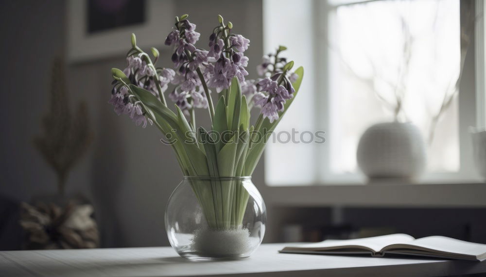 Similar – Foto Bild Stillleben Blume Blüte