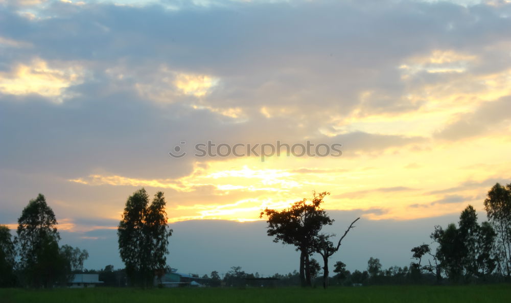 Similar – Sun goes down Tree Clouds