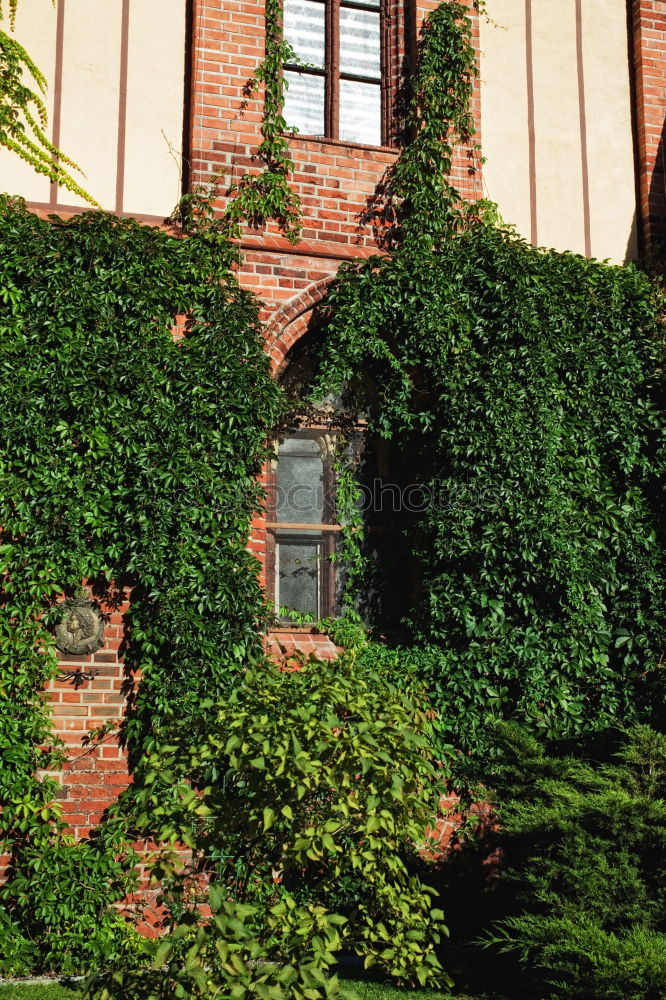Similar – Foto Bild Ein Haus im Grünen Baum