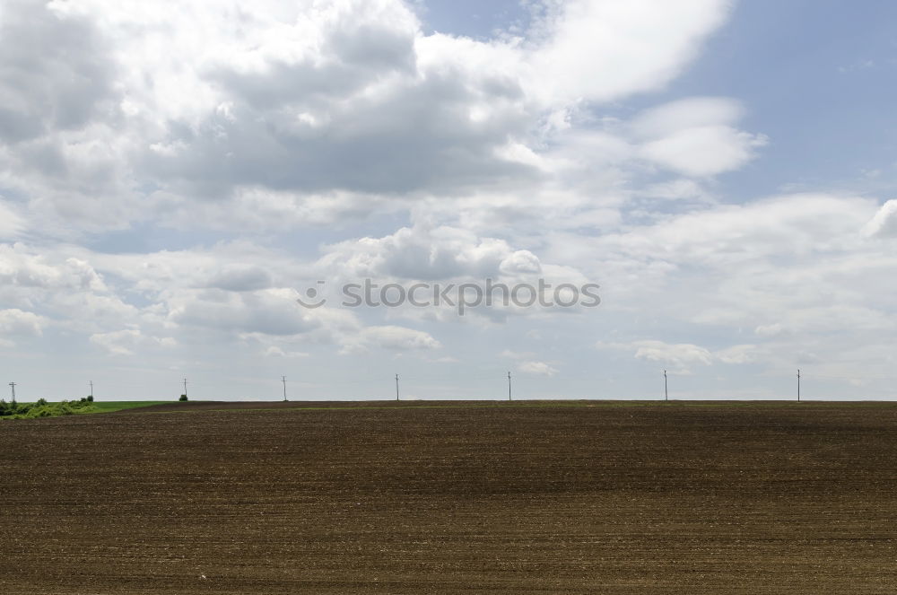 Similar – Image, Stock Photo Eating ice cream on the sandy surface forbidden