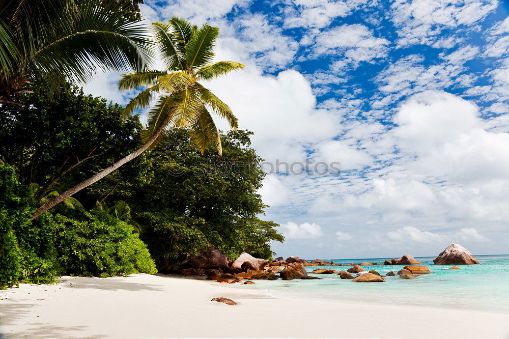 Similar – Image, Stock Photo serenity Vacation & Travel