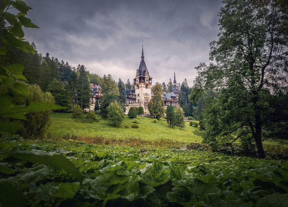 Similar – Castle Eltz Tourism Trip