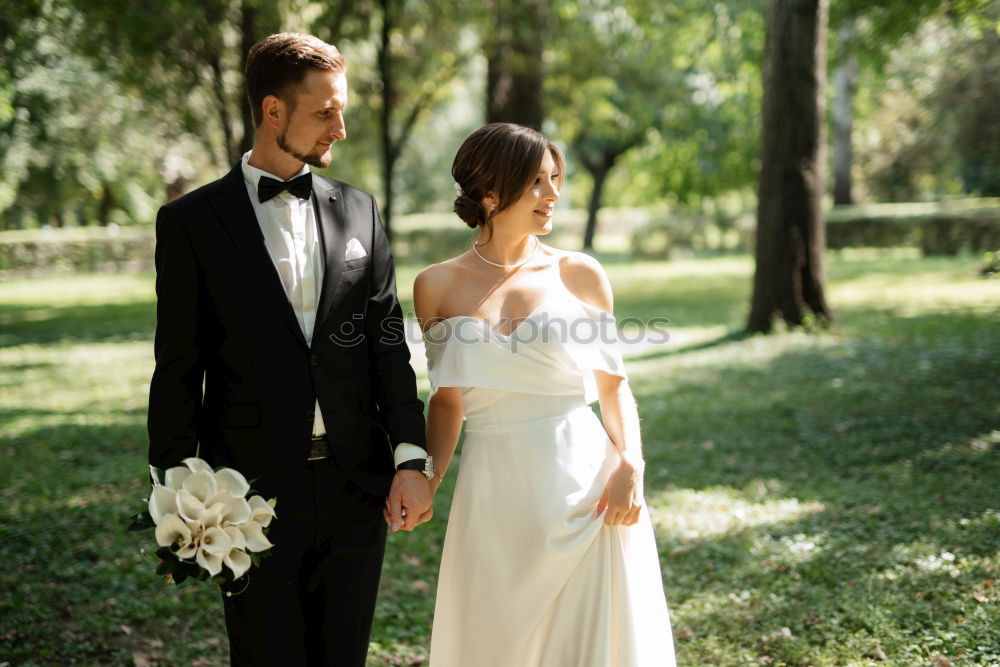 Similar – Image, Stock Photo Bride and groom on wedding ceremony