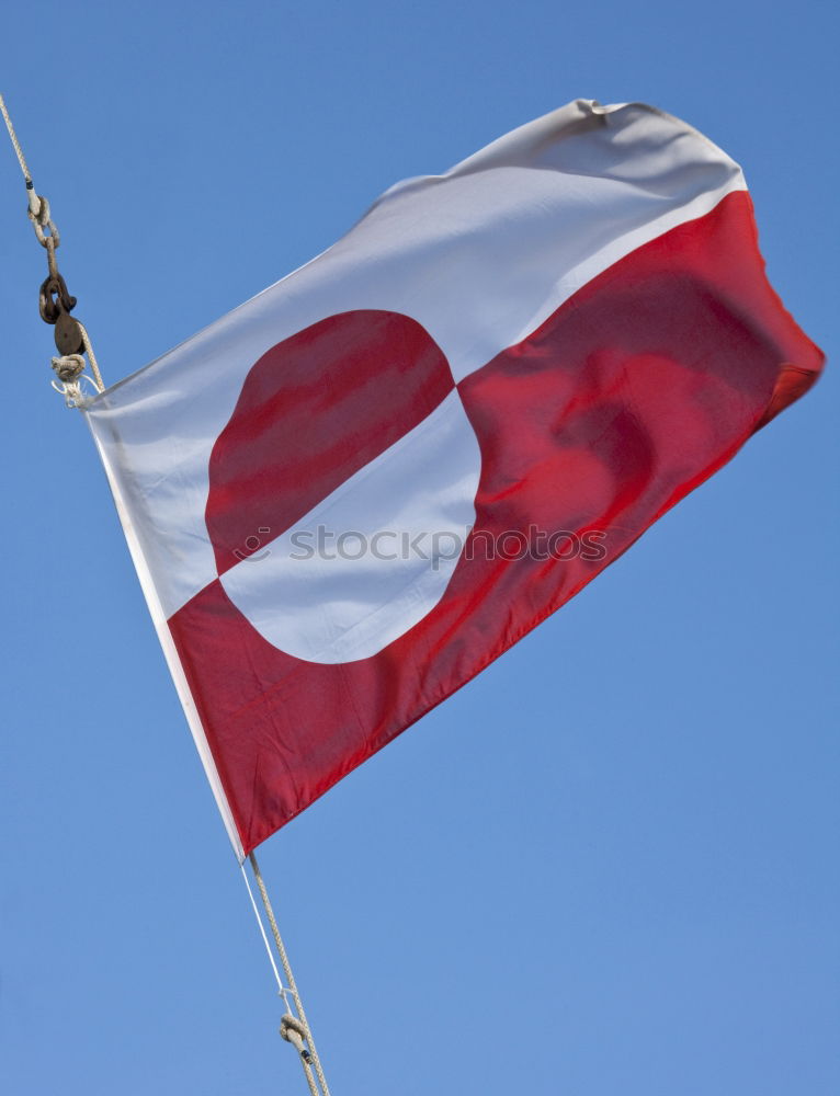 Similar – Image, Stock Photo Circling Milan Flag Bird