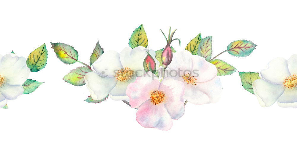 Similar – Foto Bild Frühlingsläuter. Natur