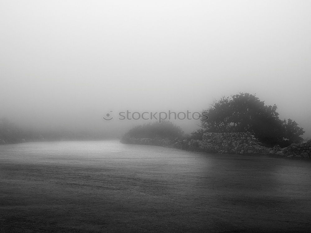 Similar – Freie Fahrt Nebel schwarz