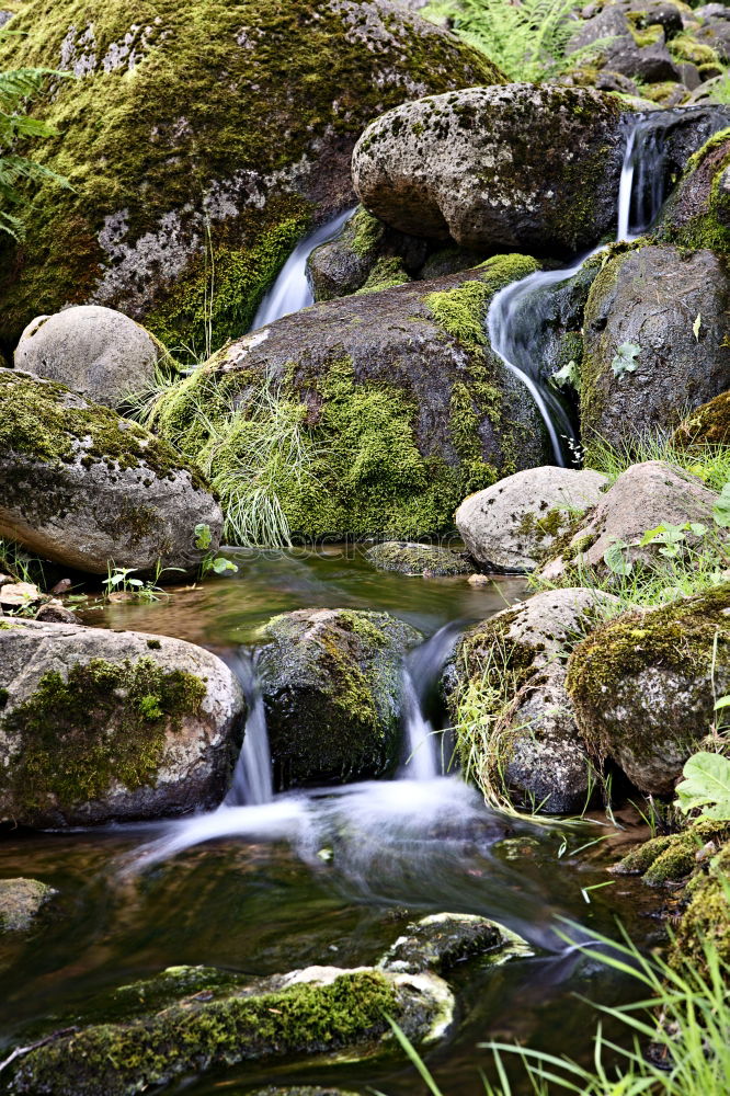 Similar – Water Brook Green River