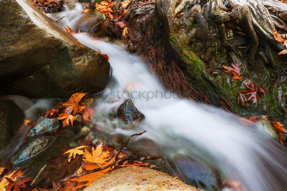 Similar – Image, Stock Photo – autumnal water drifting