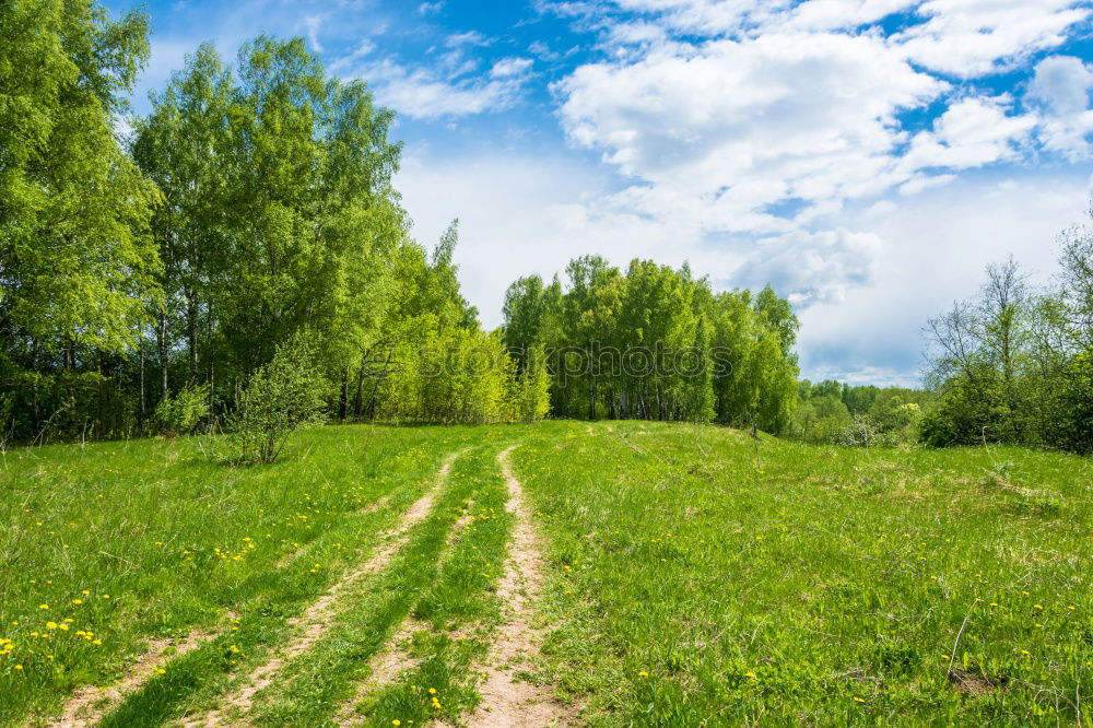 Similar – Image, Stock Photo overland route Environment