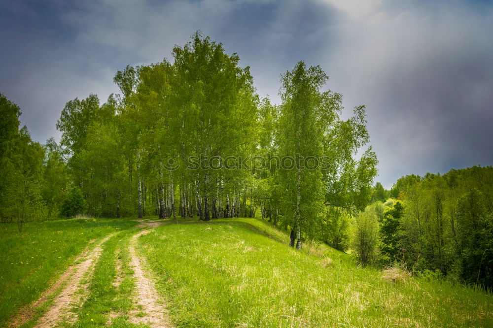 Similar – Ein Weg am Kornfeld Fußweg