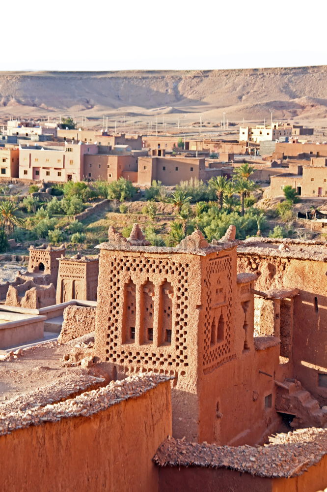 Similar – Image, Stock Photo Oasis Morocco I