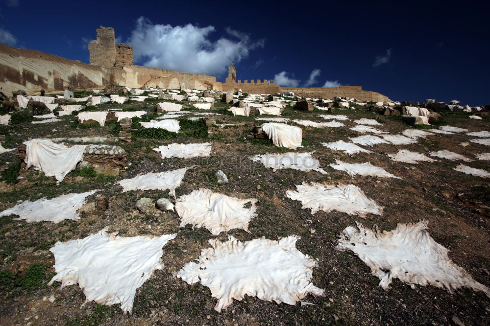 Similar – Image, Stock Photo Small river flowing between cliffs