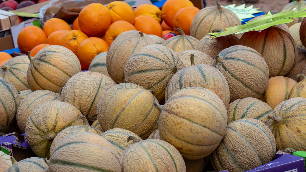 Similar – Pumpkins on the market