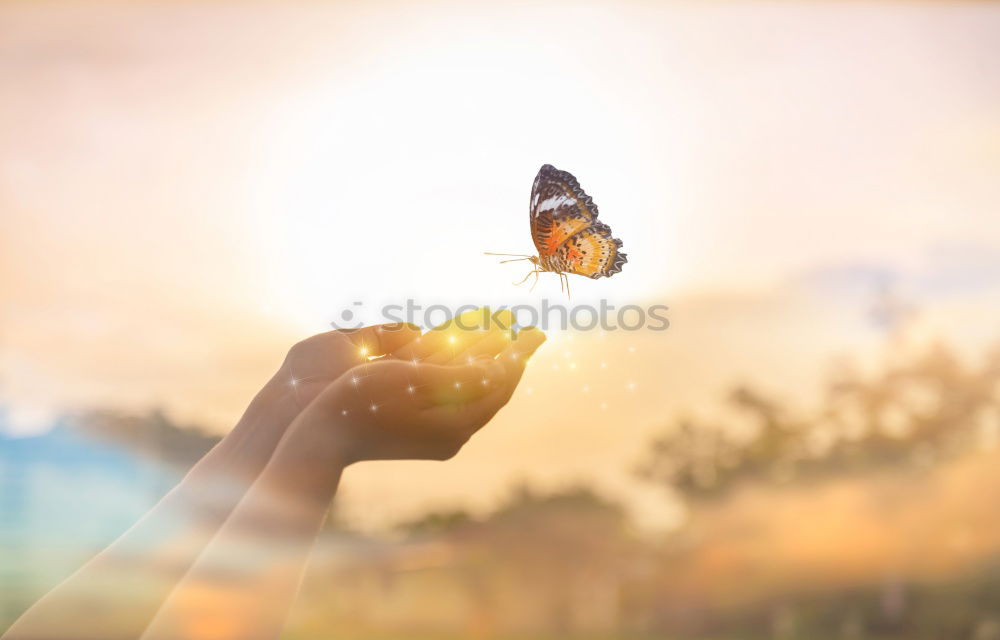 Similar – Image, Stock Photo Behind Rainbow Girl