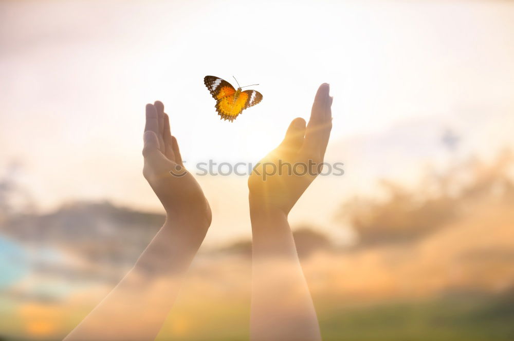 Similar – Image, Stock Photo redhead Healthy Senses
