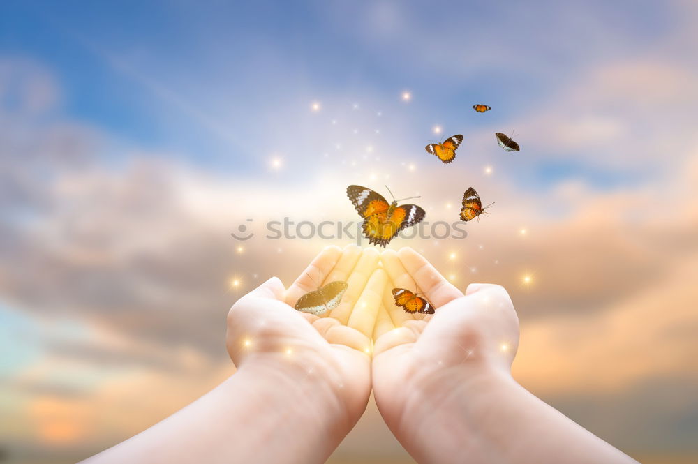 Similar – Image, Stock Photo Christmas star in hands